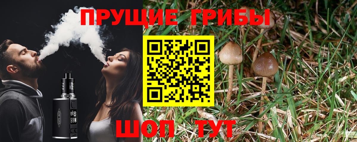 Псилоцибиновые грибы Psilocybine cubensis Когалым