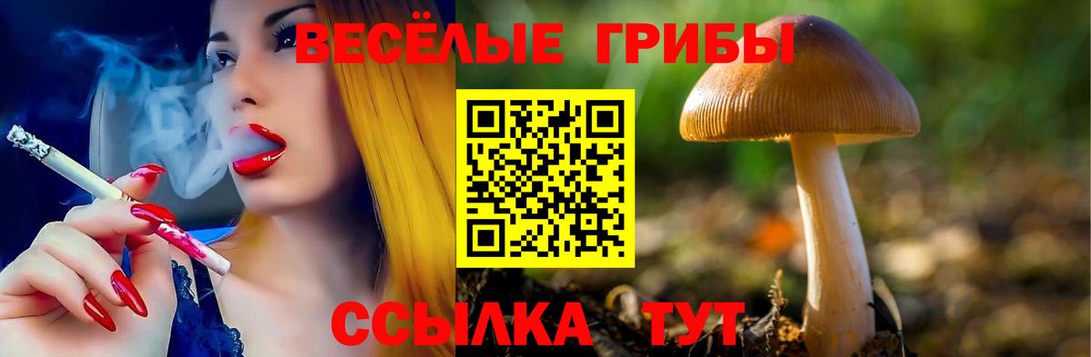 Когалым  Галлюциногенные грибы мухоморы  Вход с VPN 